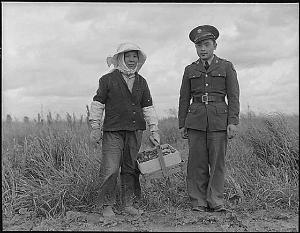 Dorothea Lange, A soldier and his mother in their strawberry field, Florin, California Dorothea Lange, A soldier and his mother in their strawberry field, Florin, California