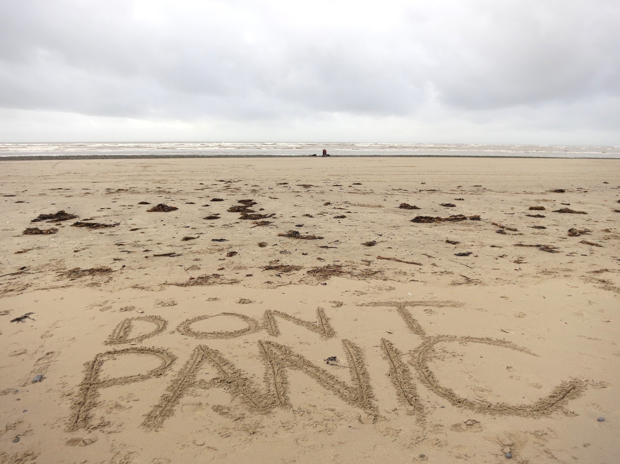 8300870890_efab2ae4f3_k