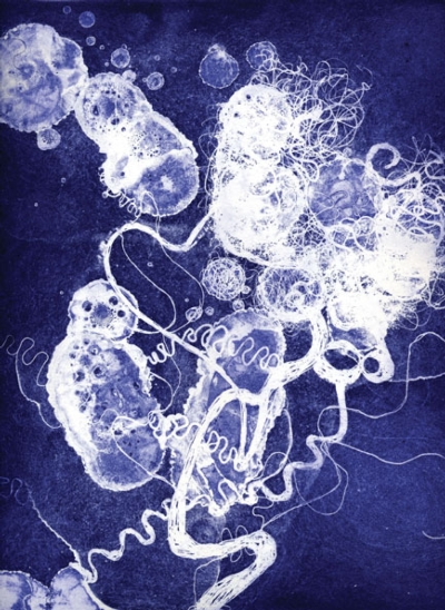 Brainscape 24 by Susan Aldworth