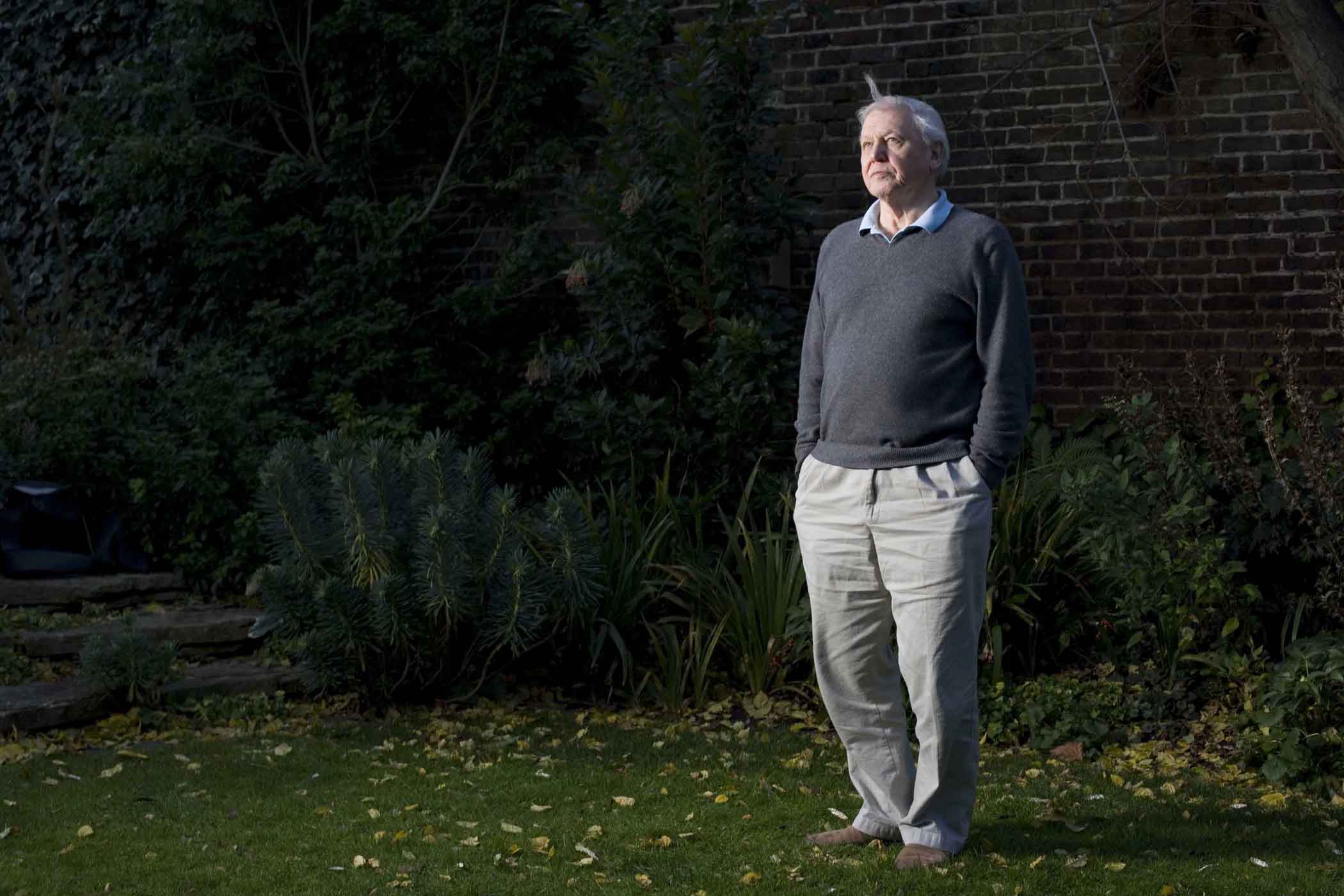 David Attenborough by Linda Brownlee