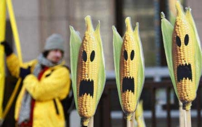 An anti-GM protest in Germany