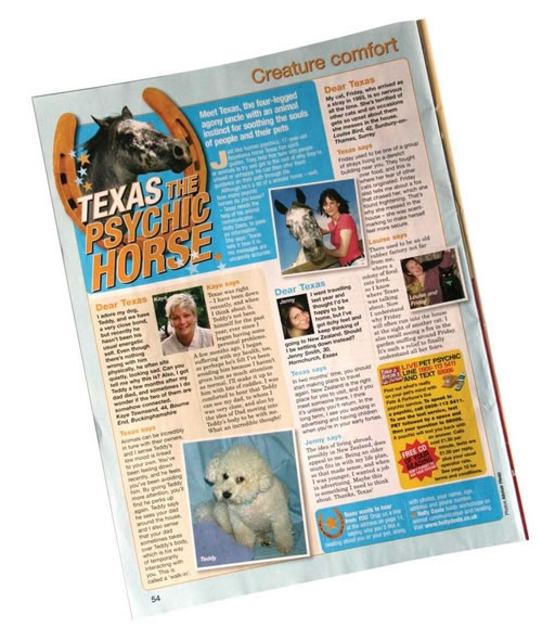 Texas the Psychic Horse