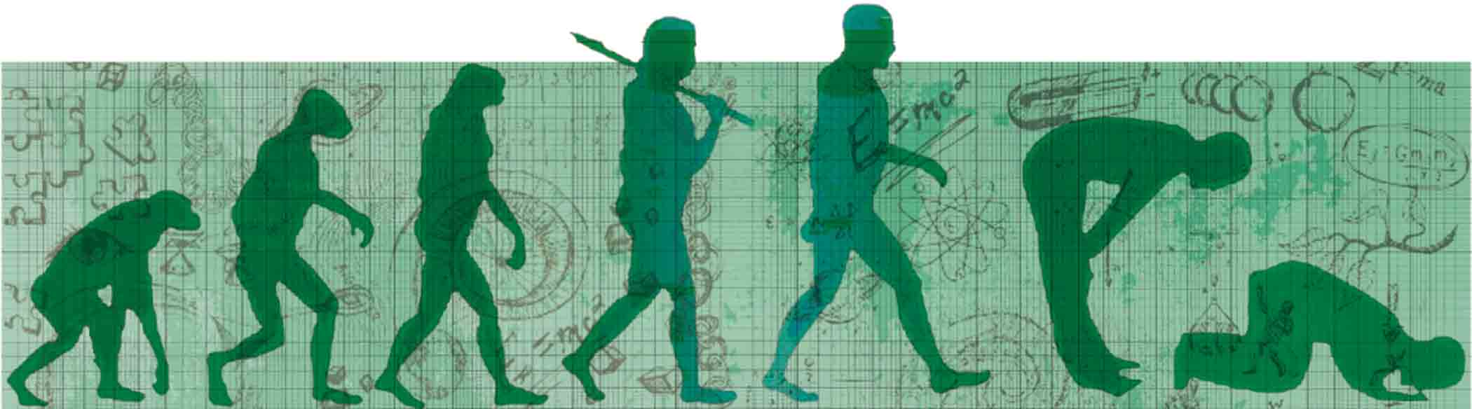 Islam and evolution image