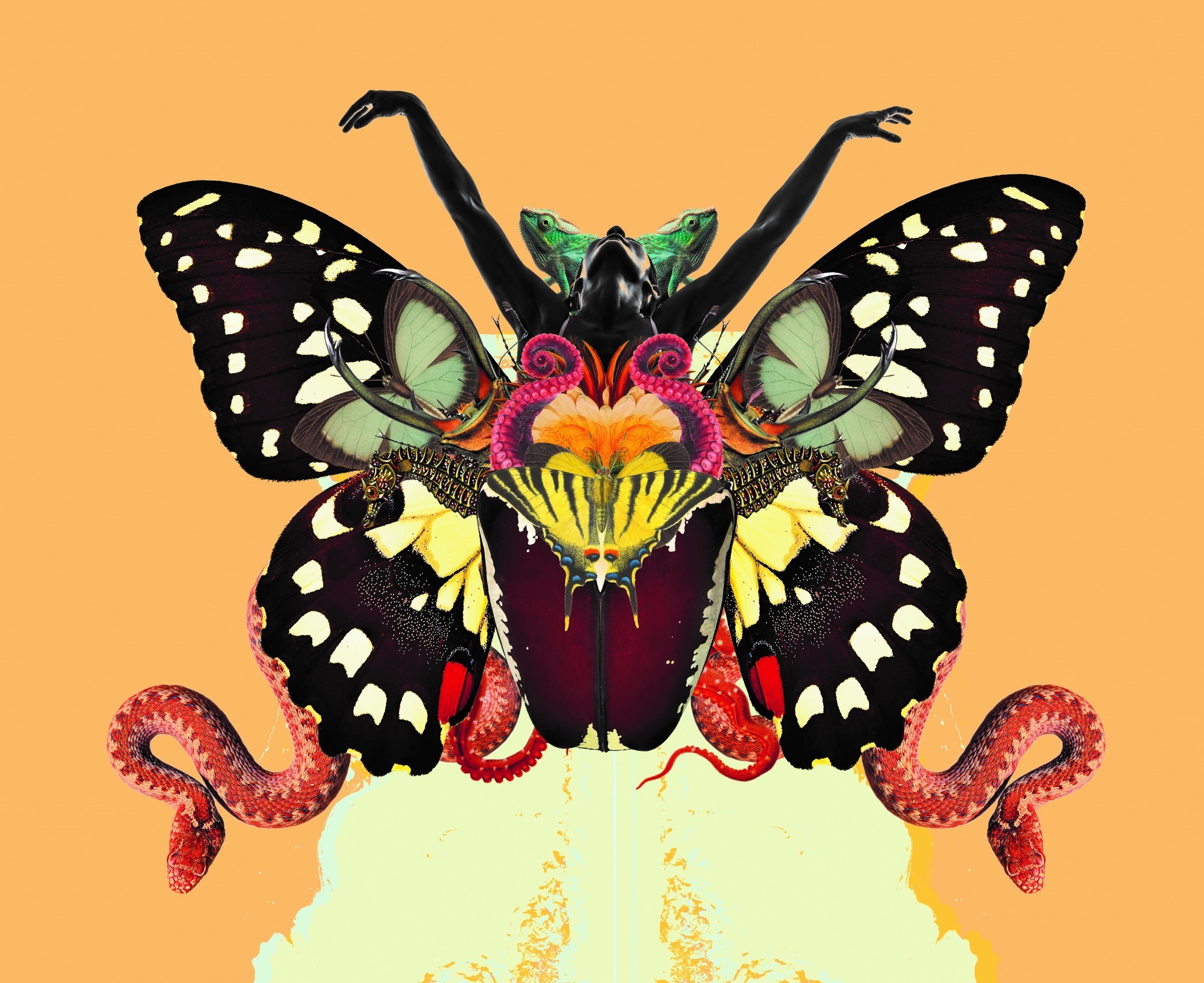 NEW_HUMANIST_WINTER_2v1aw2