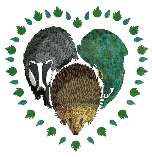 Wild Love main illustration by Jake Blanchard