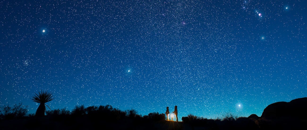 Credit: Alamy New Humanist best articles of 2024