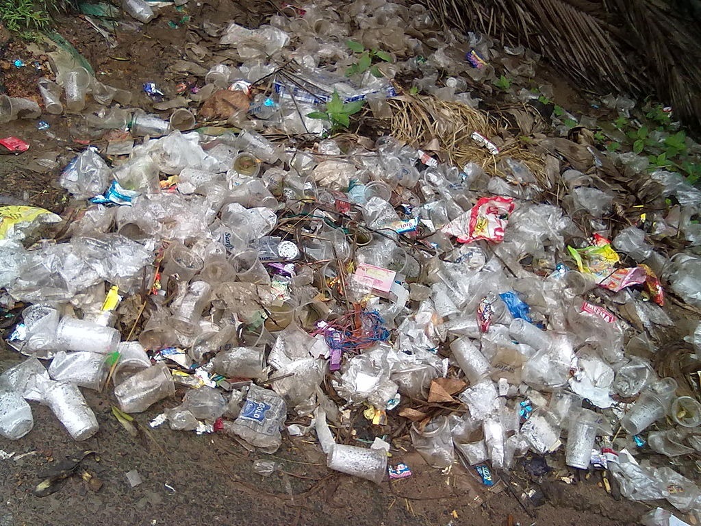 Plastic_waste_at_Batlapalem,_Andhra_Pradesh