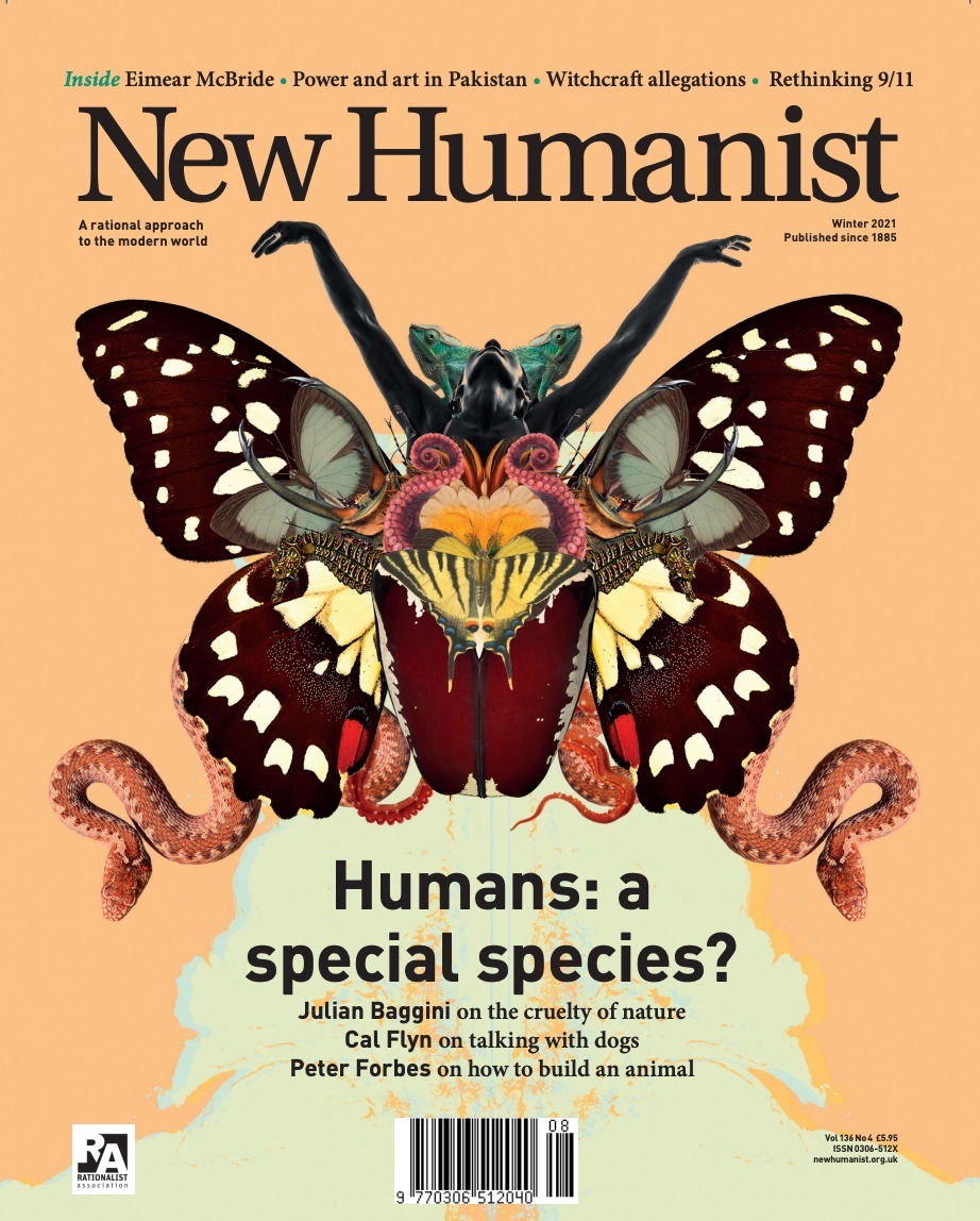 Screenshot-2021-11-11-at-16.47.47