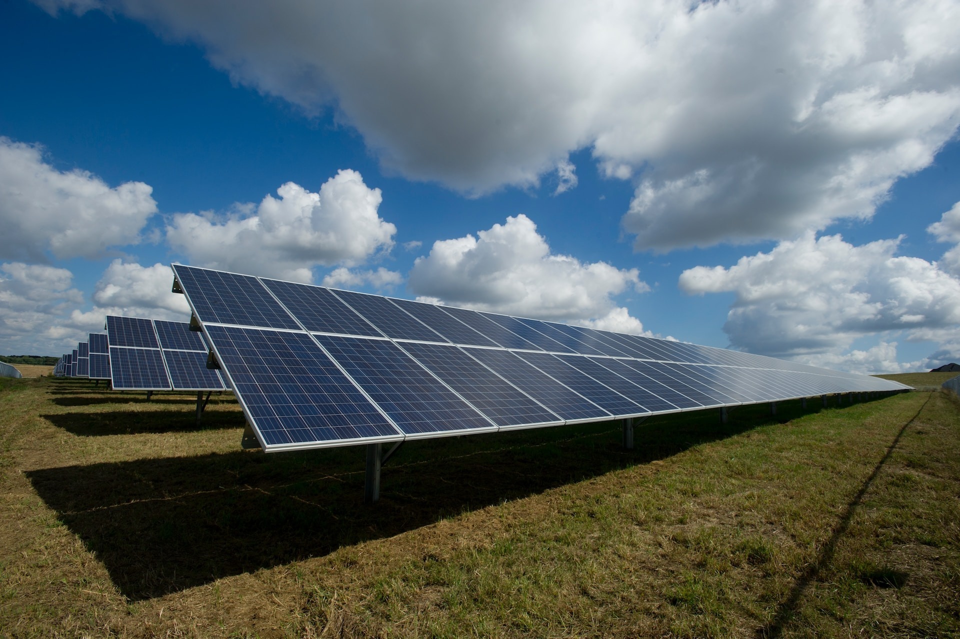 A field of solar panels