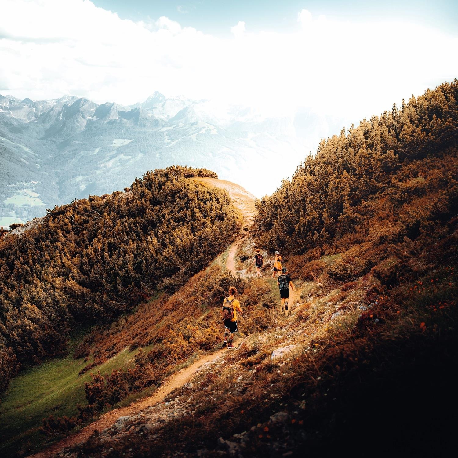 Credit: Daniel J Schwarz/Unsplash Hikers on a mountainous path