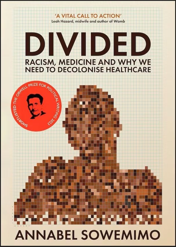 The cover of 'Divided' shows the pixelated image of a person