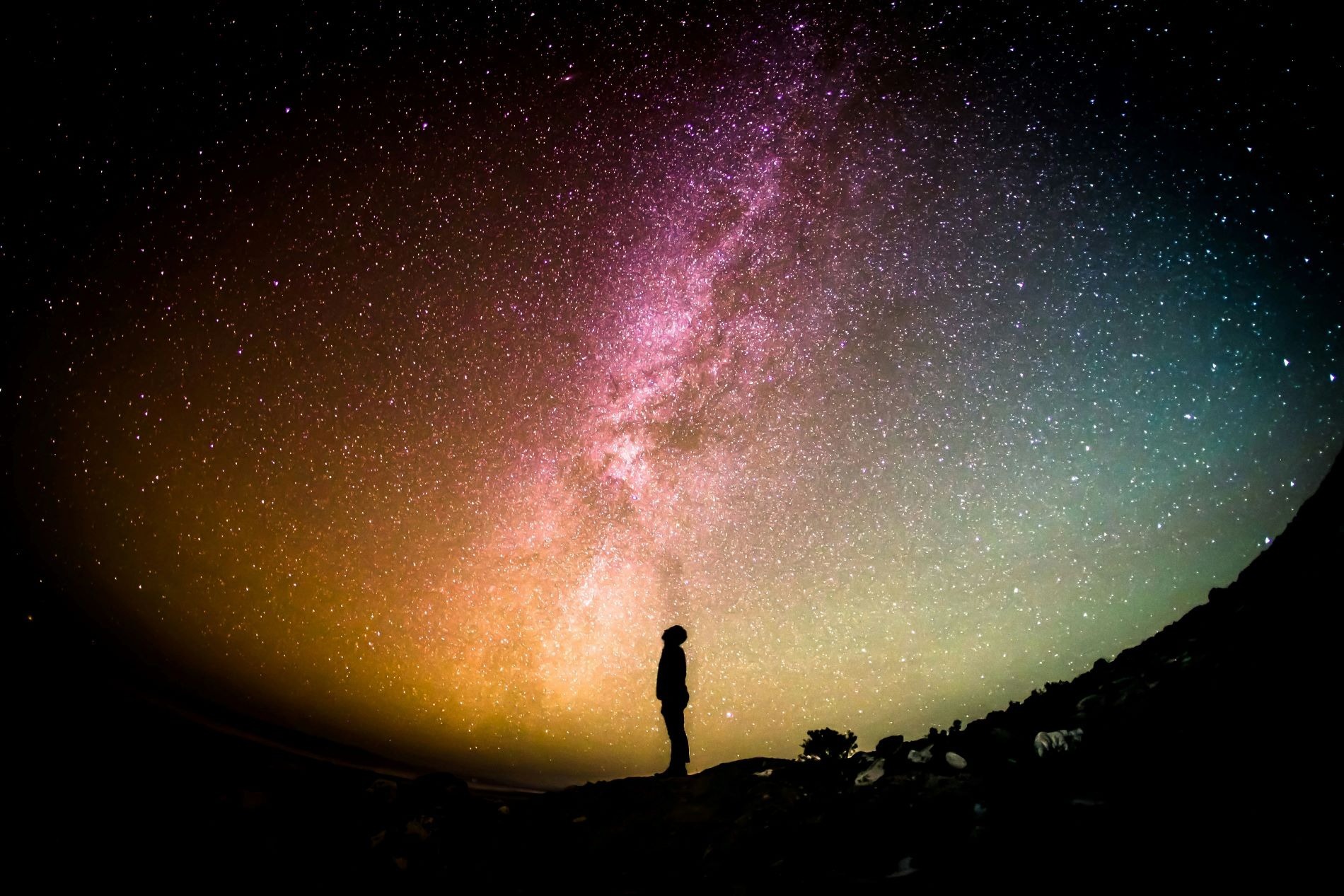 Credit: Greg Rakozy via Unsplash The silhouette of a person looking up in awe at a colourful night sky