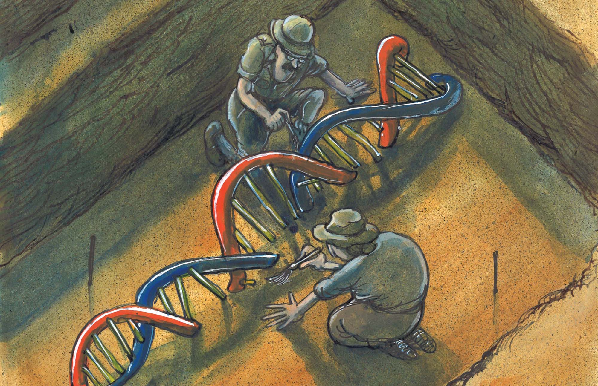 Illustration by Martin Rowson Rowson