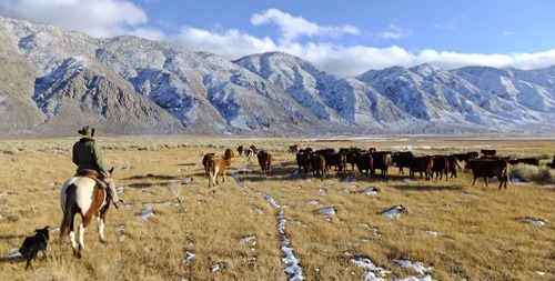 Promotional image for Deep Springs College, California. Deep Springs