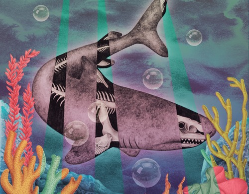 Illustration by Essy May Cover