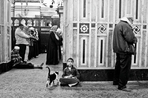 Prayers at the Saida Zainab mosque in downtown Cairo, December 2013 Cairo prayers